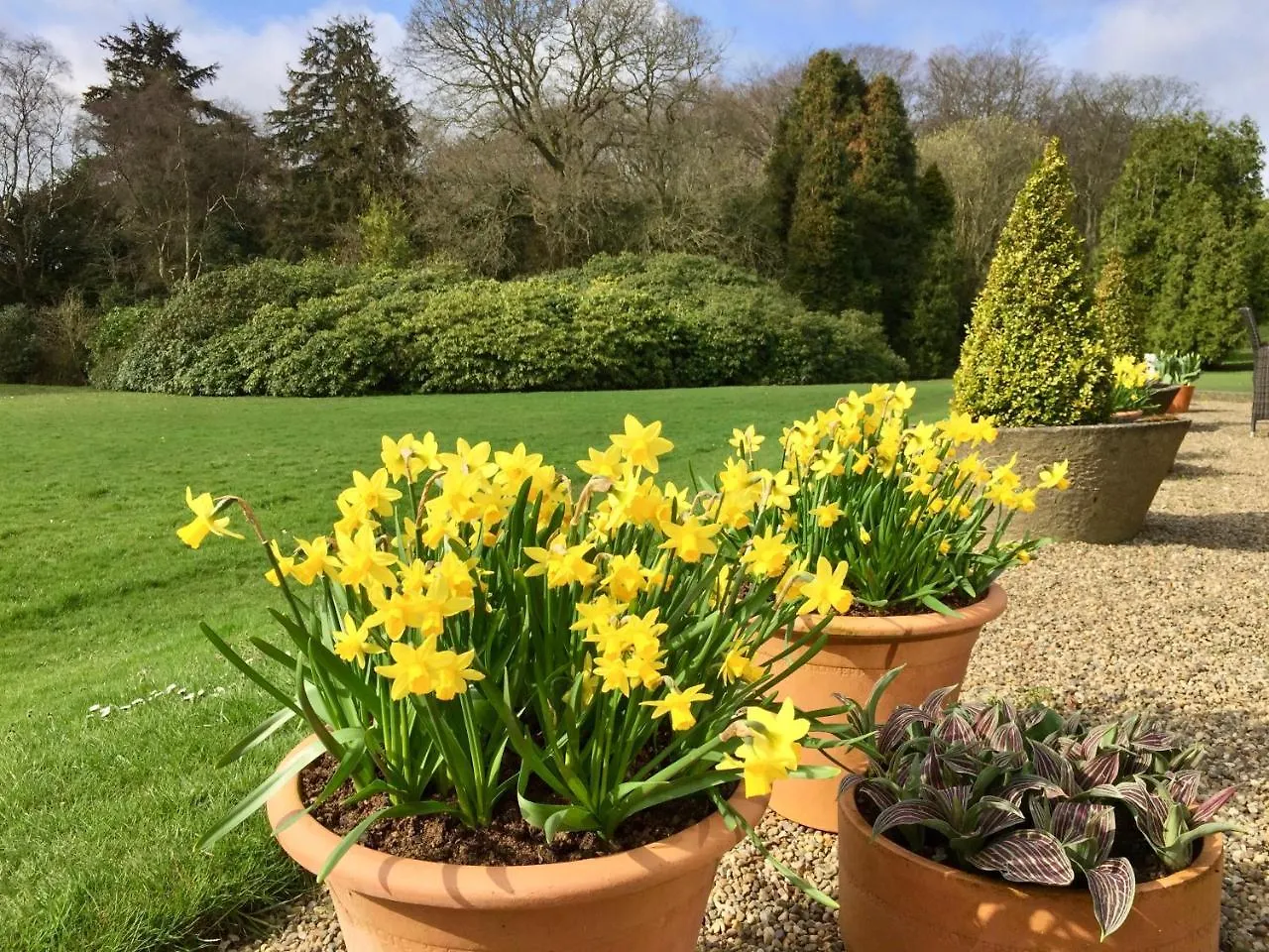 The Wrea Head Hall Country House Hotel & Restaurant Scarborough 0*,
